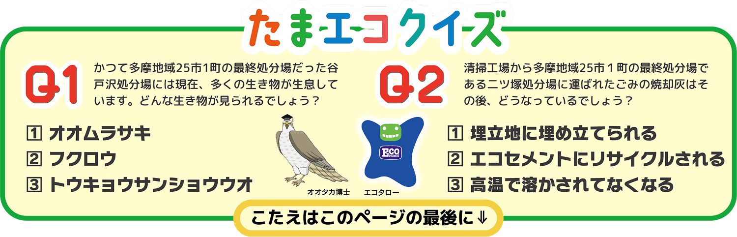 たまエコクイズ