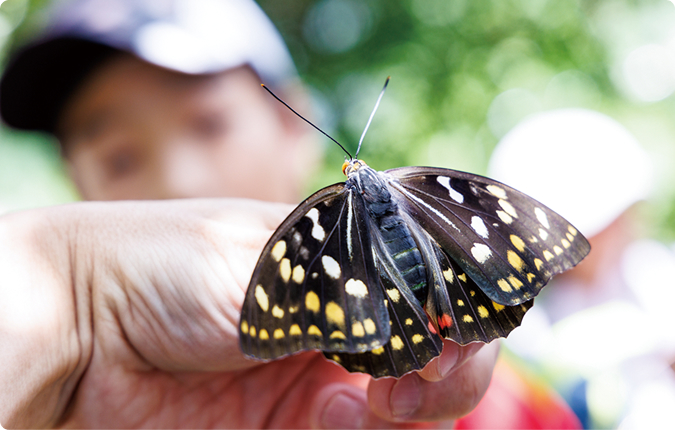 中間処理施設の見学